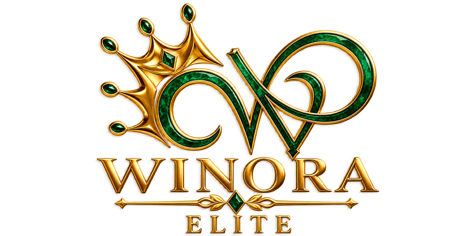 Winora Elite